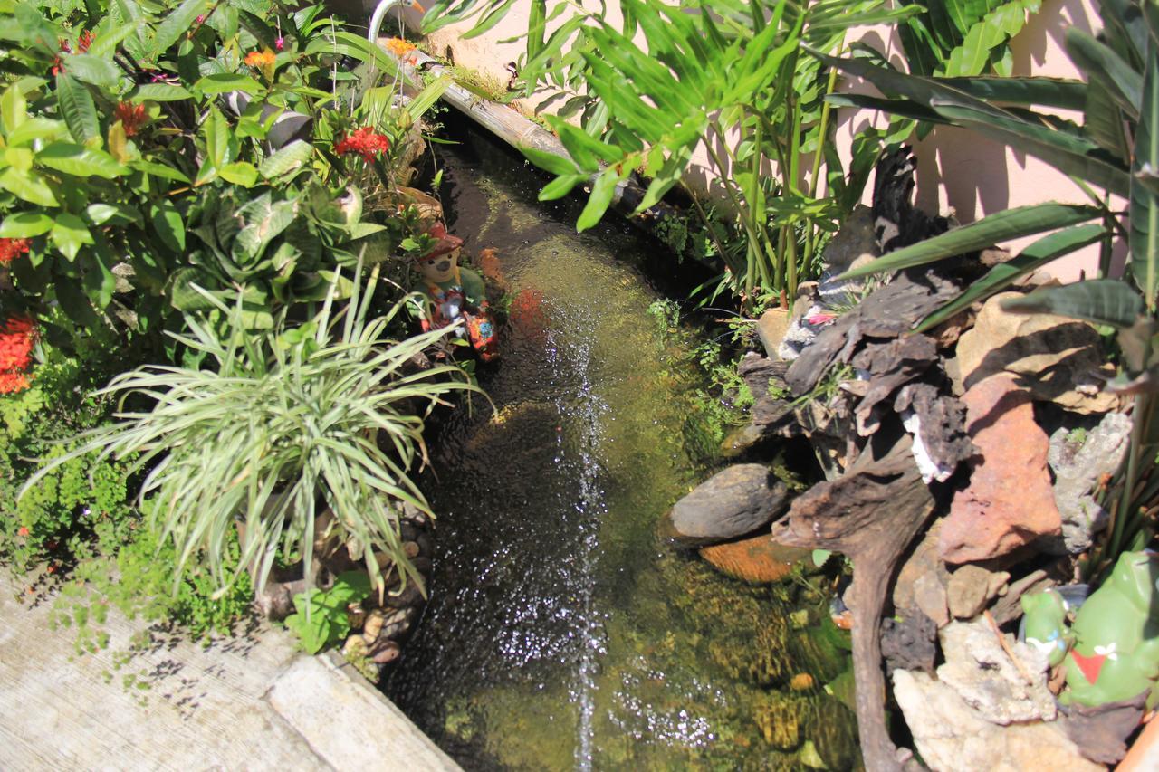 فندق Pousada Vista Bela غواراباري المظهر الخارجي الصورة